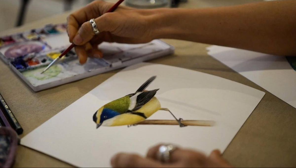 AVES