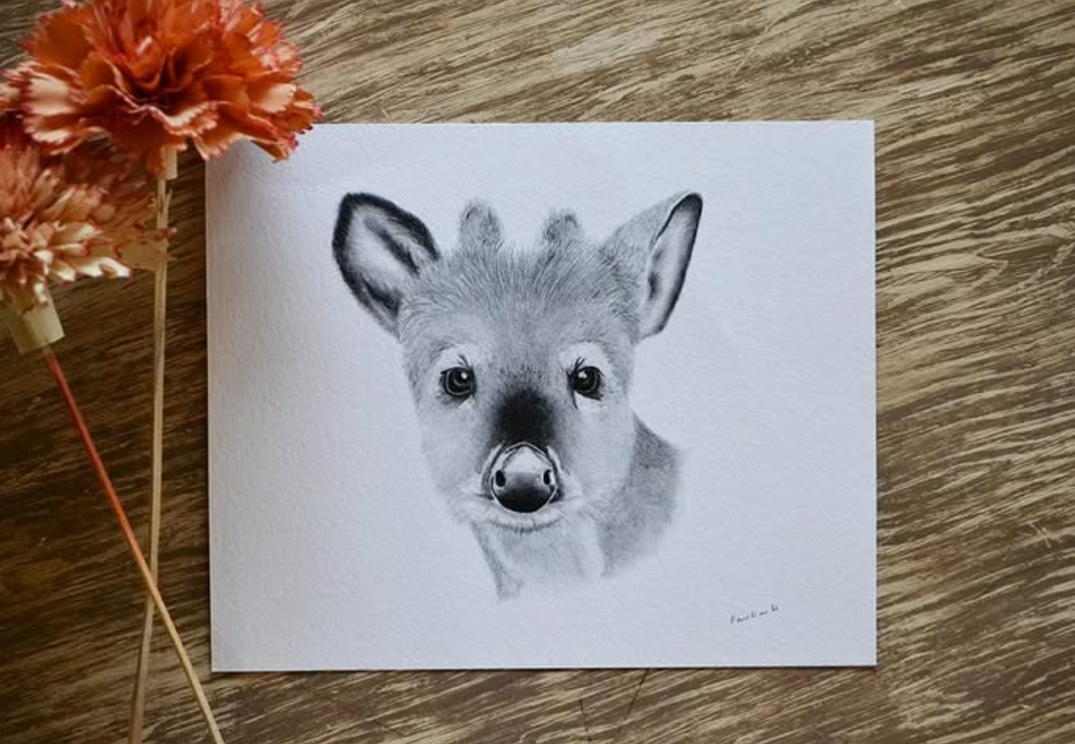 FAUNA