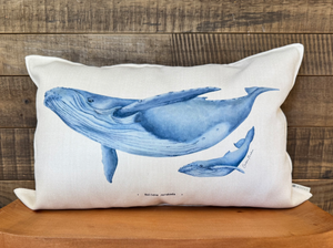 FUNDA BALLENA JOROBADA
