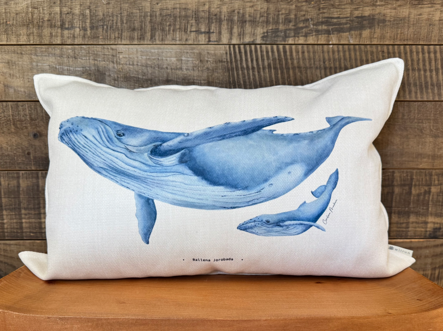 FUNDA BALLENA JOROBADA