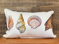 FUNDA CONCHITAS II