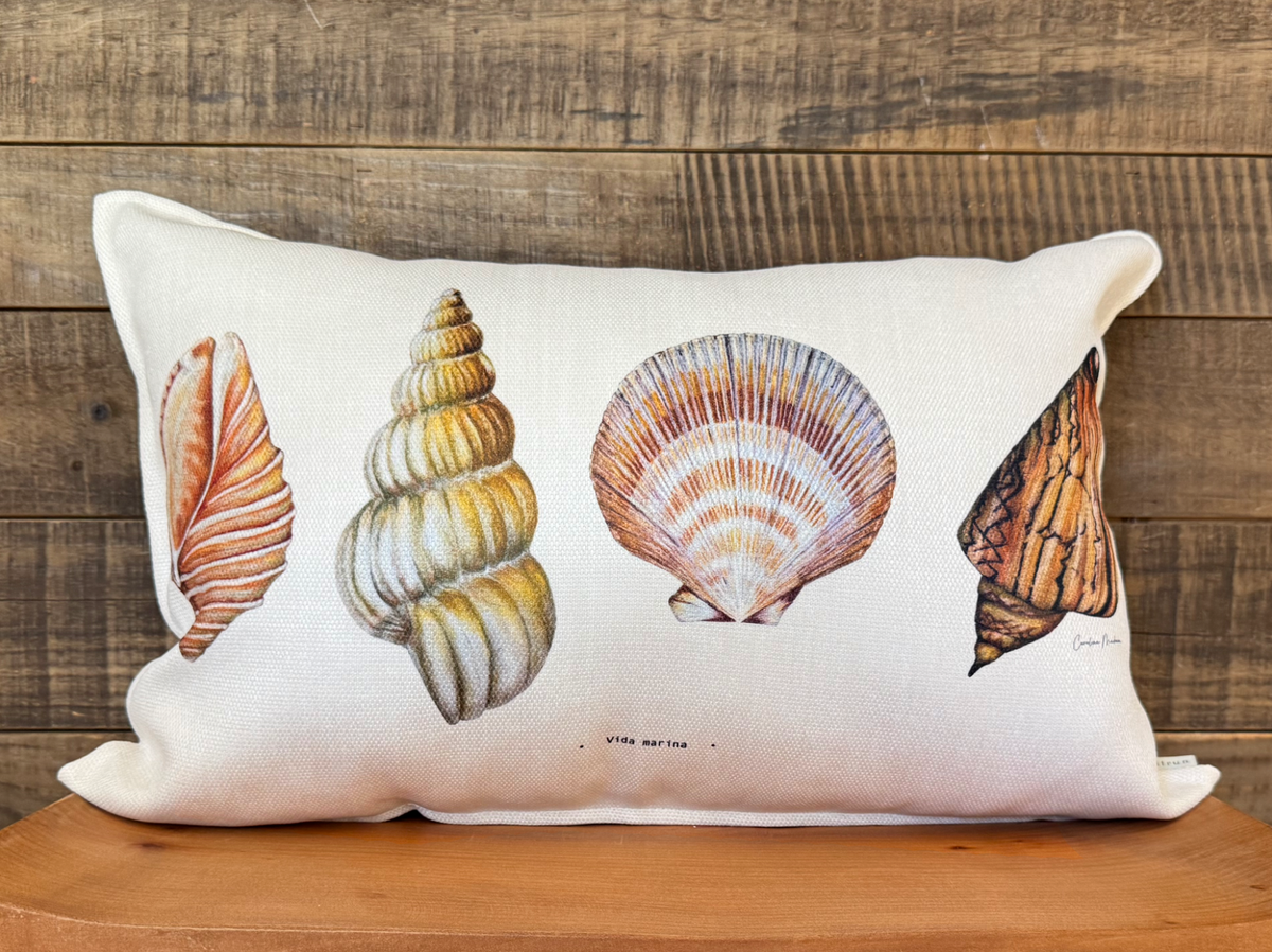 FUNDA CONCHITAS II