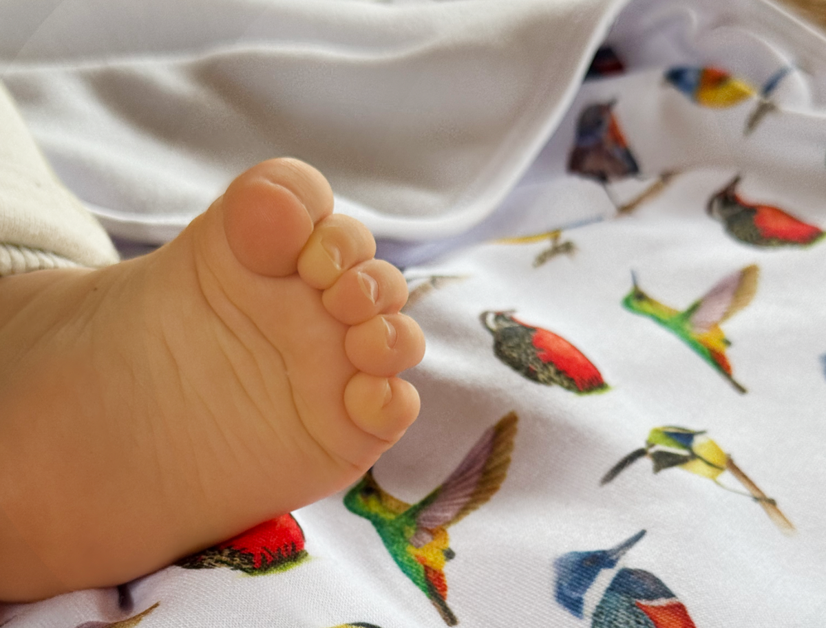 MANTA BEBE AVES