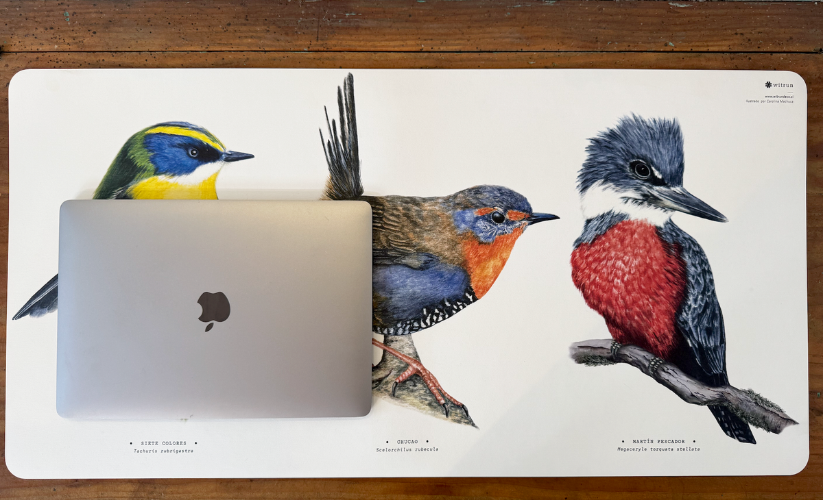 DESK MAT AVES