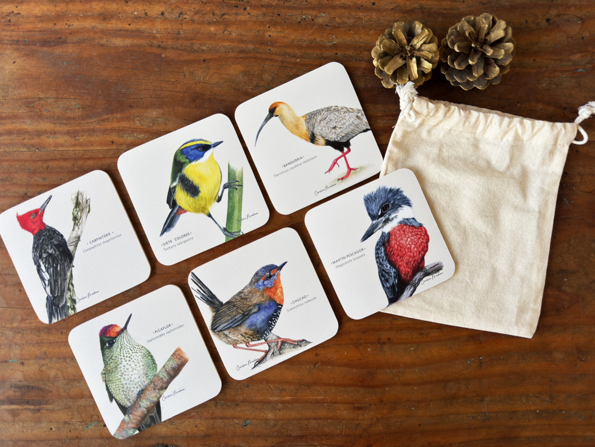 POSAVASOS GOMA AVES I
