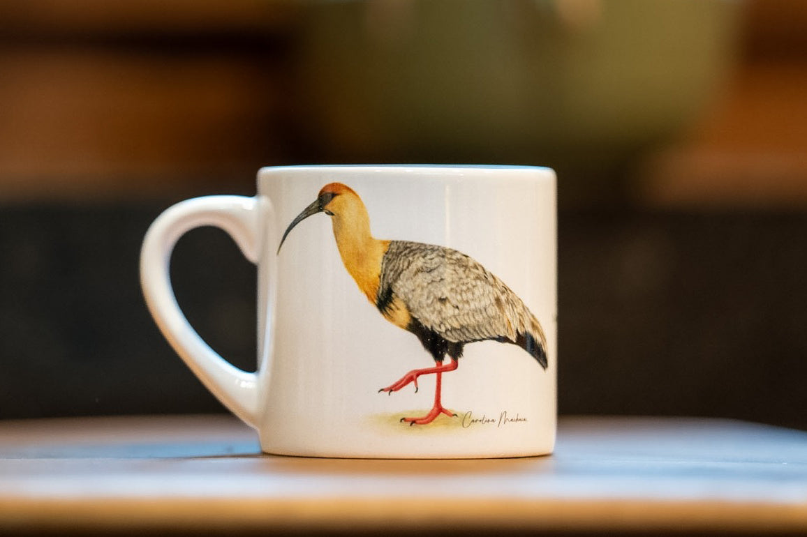 TAZA CAFÉ BANDURRIA