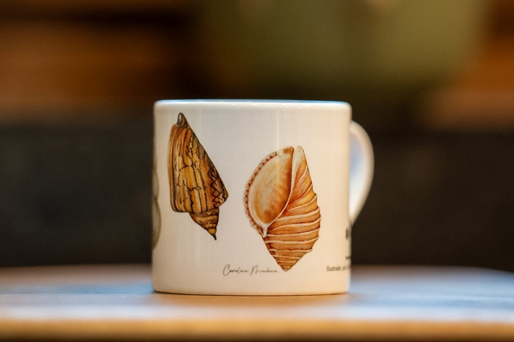 TAZA CAFÉ CONCHITAS