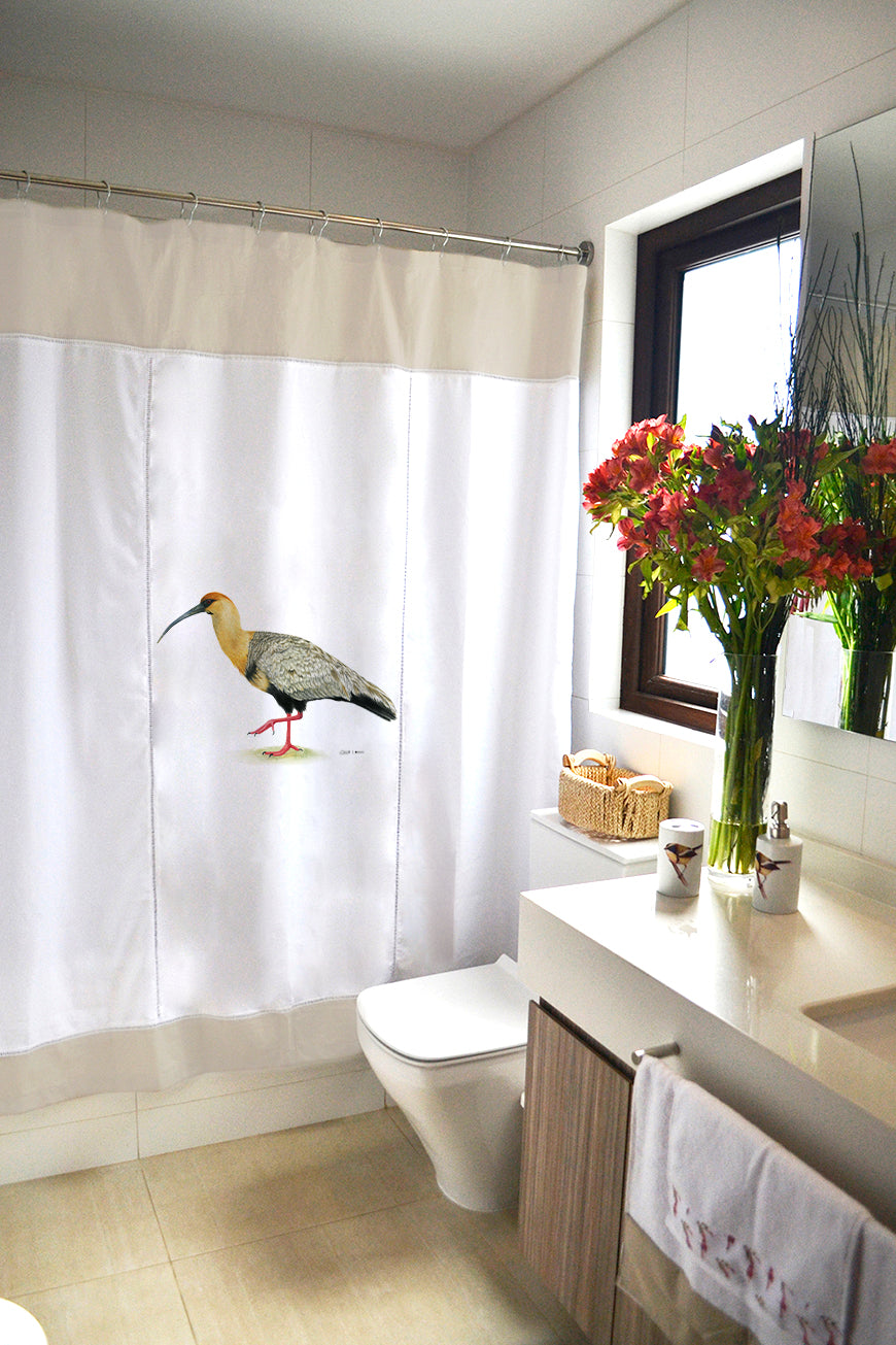 CORTINA BAÑO BANDURRIA