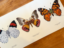 Cargar imagen en el visor de la galería, DESK MAT MARIPOSAS