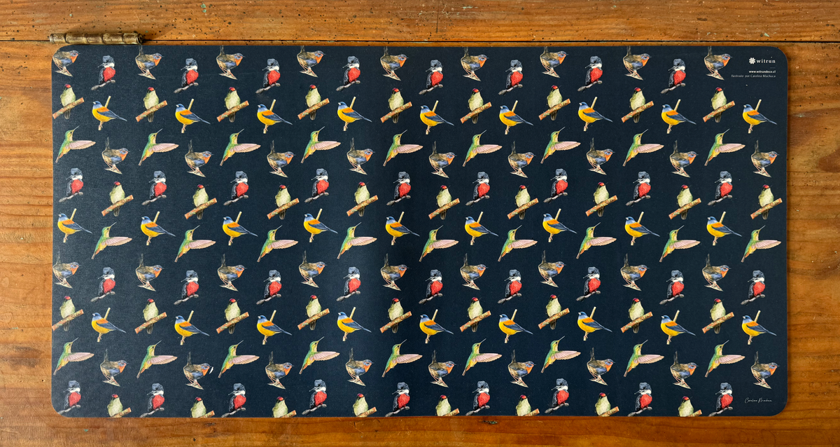 DESK MAT AVES OSCURO