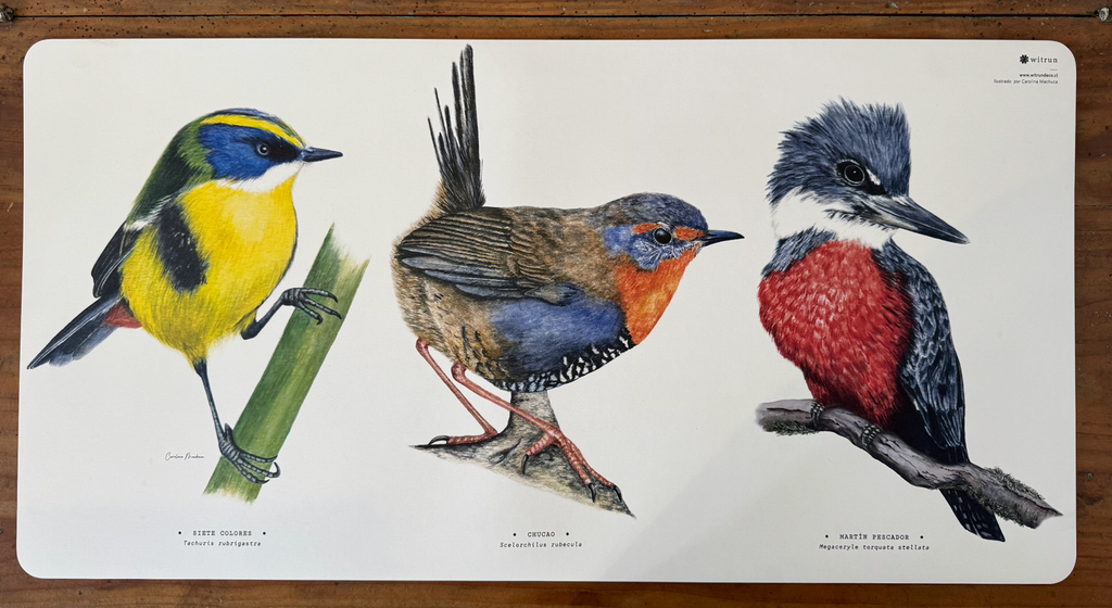DESK MAT AVES