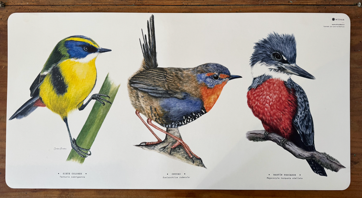 DESK MAT AVES