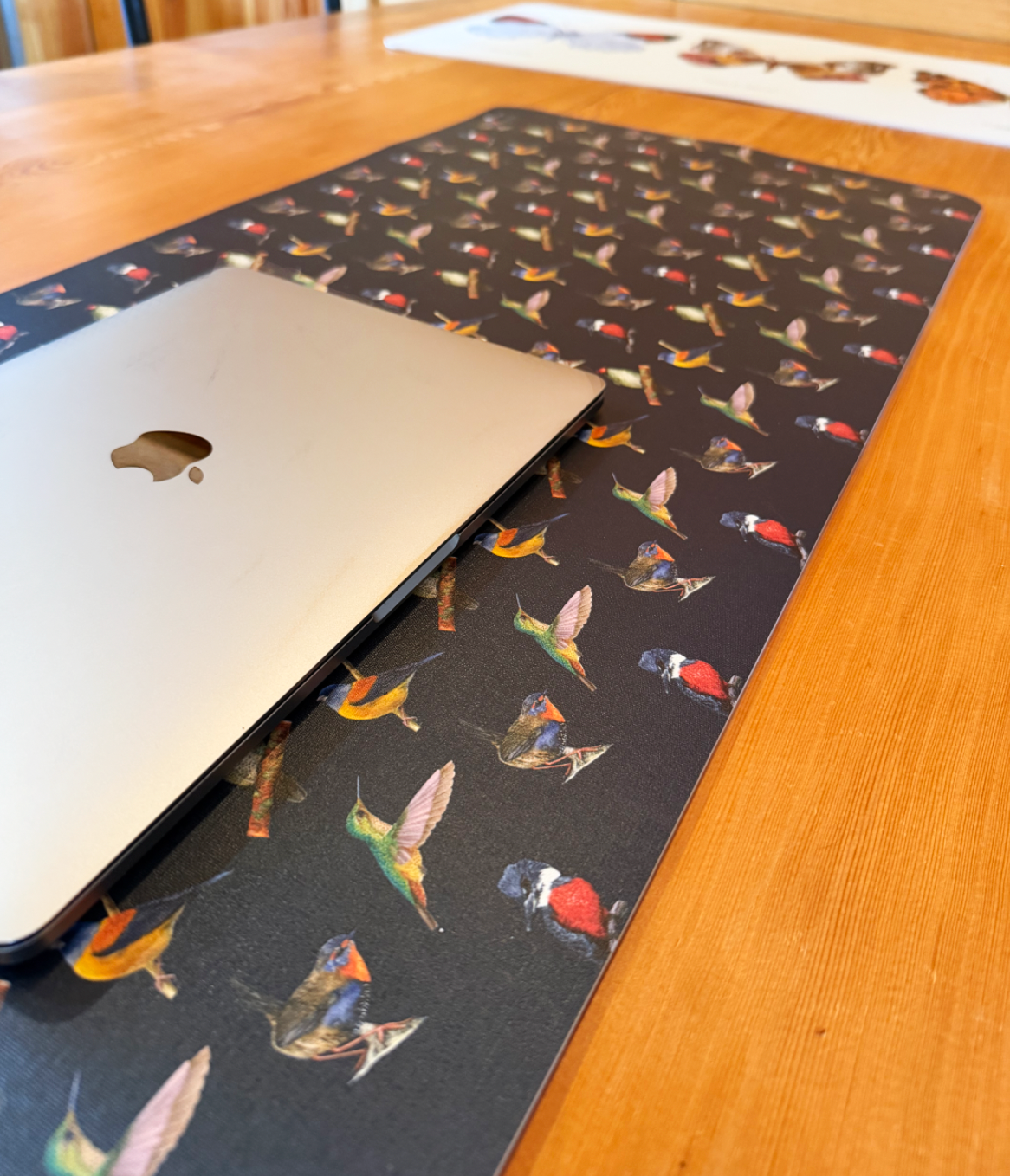 DESK MAT AVES OSCURO