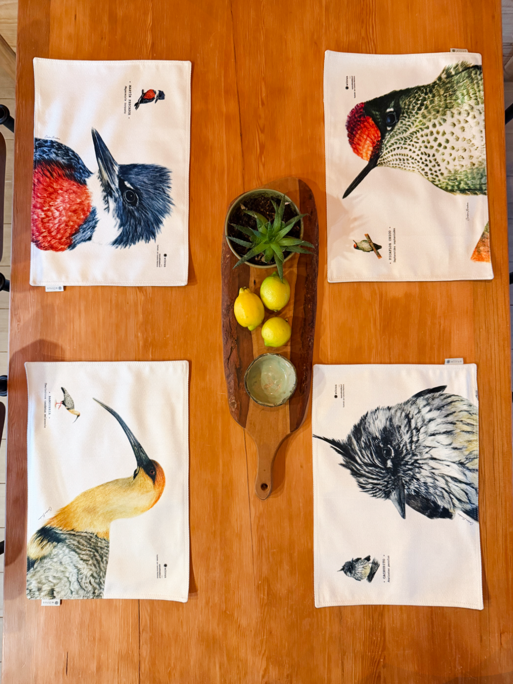 SET 4 INDIVIDUALES TELA AVES II