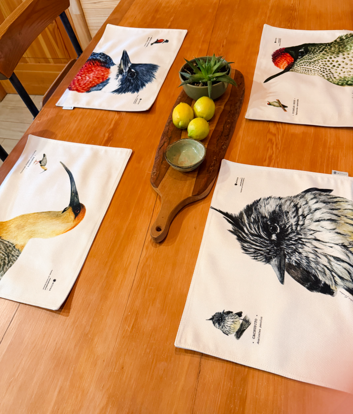 SET 4 INDIVIDUALES TELA AVES II
