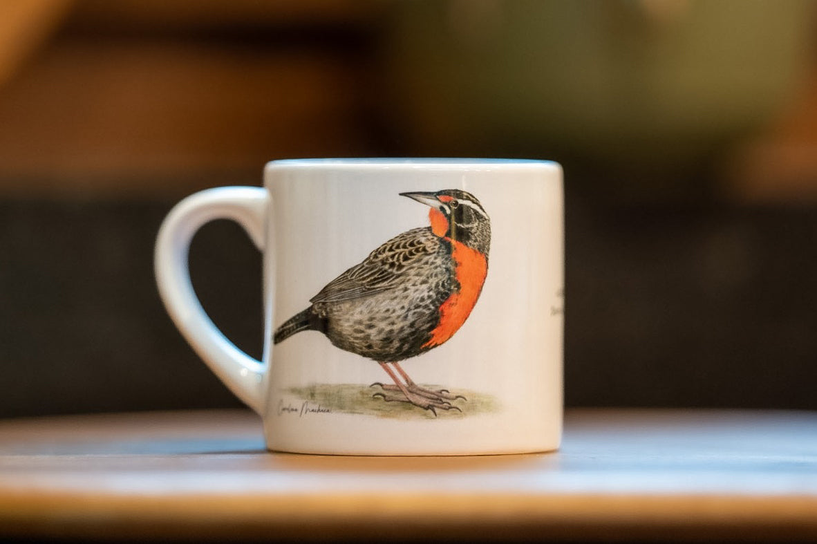 TAZA CAFÉ LOICA