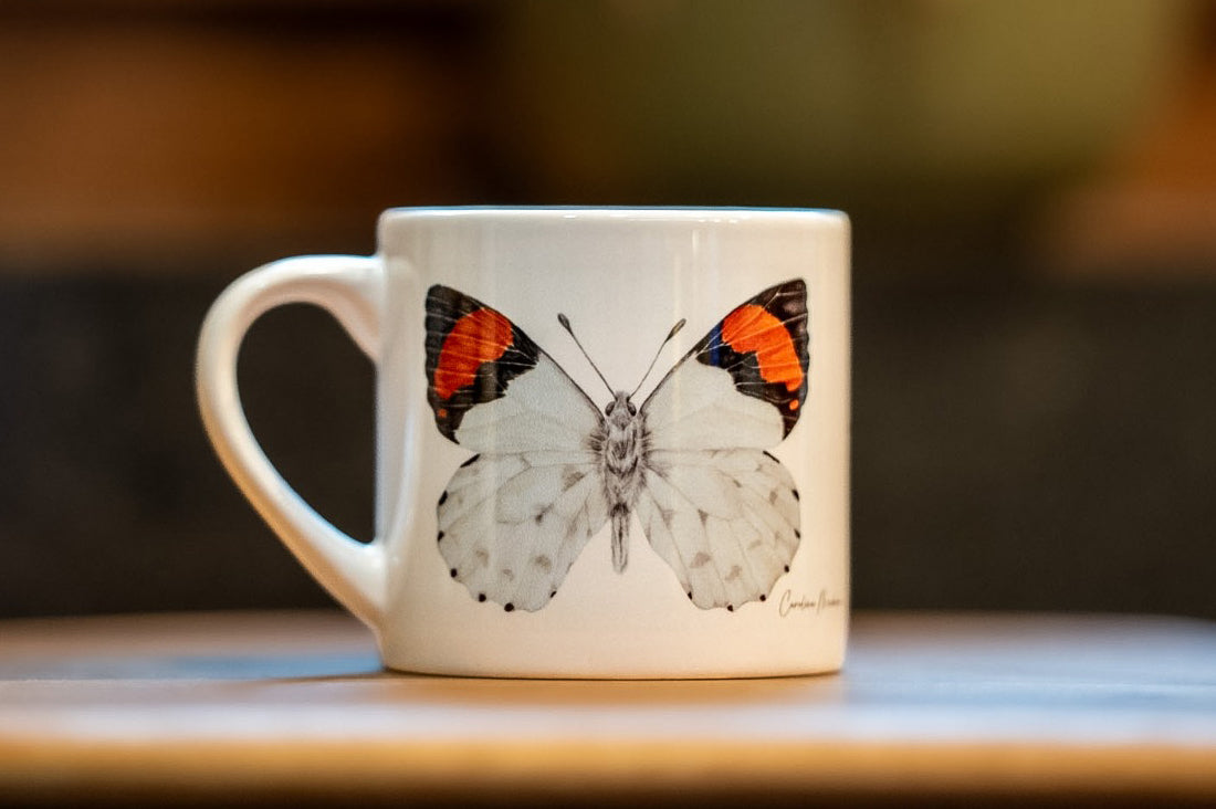 TAZA MARIPOSA EROESSA