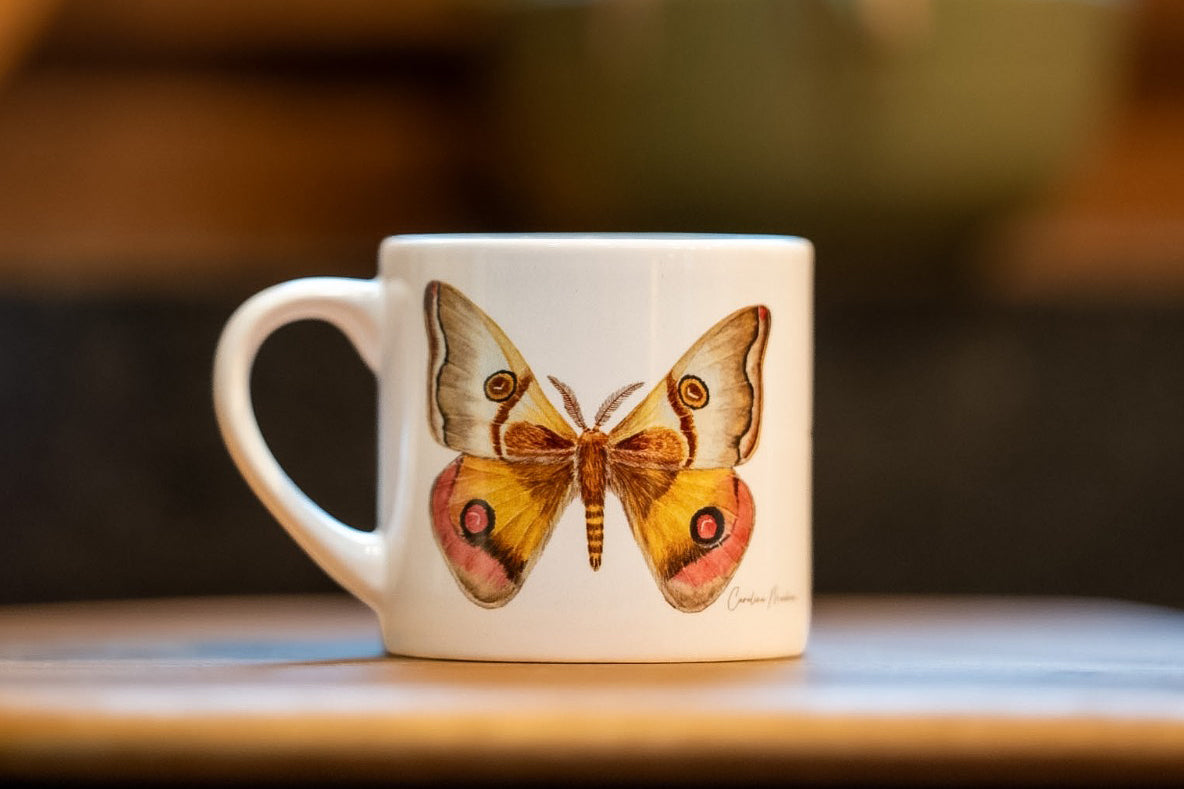 TAZA MARIPOSA DE CUATRO OJOS