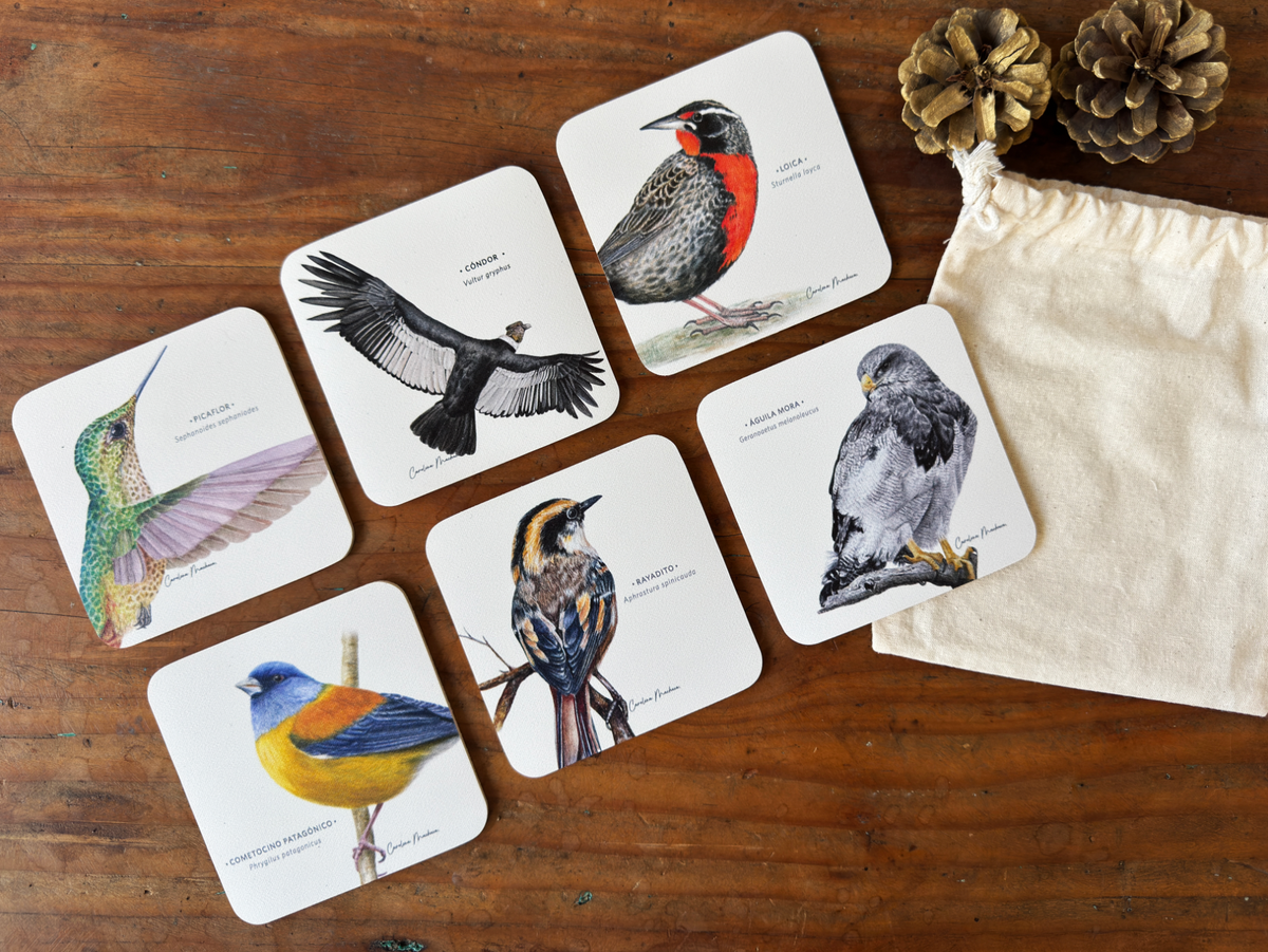 POSAVASOS GOMA AVES II