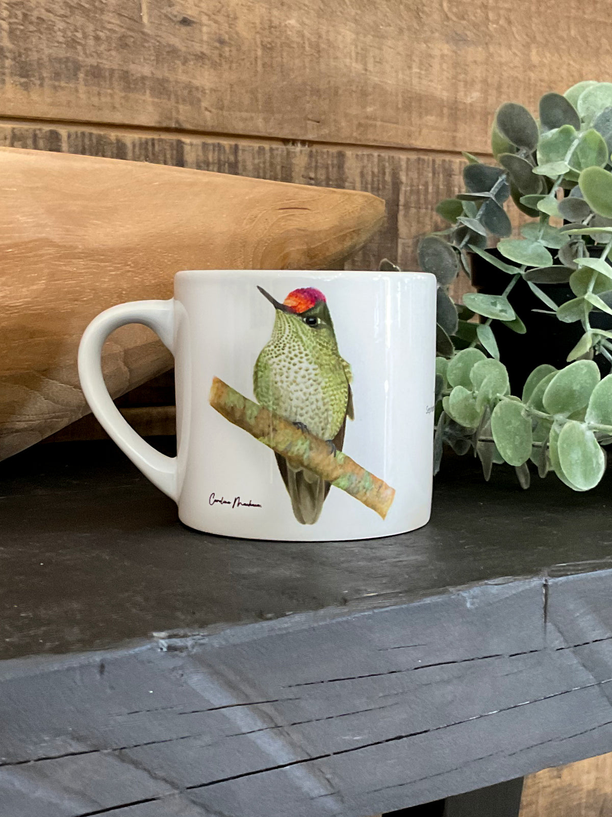 TAZA CAFÉ PICAFLOR MACHO