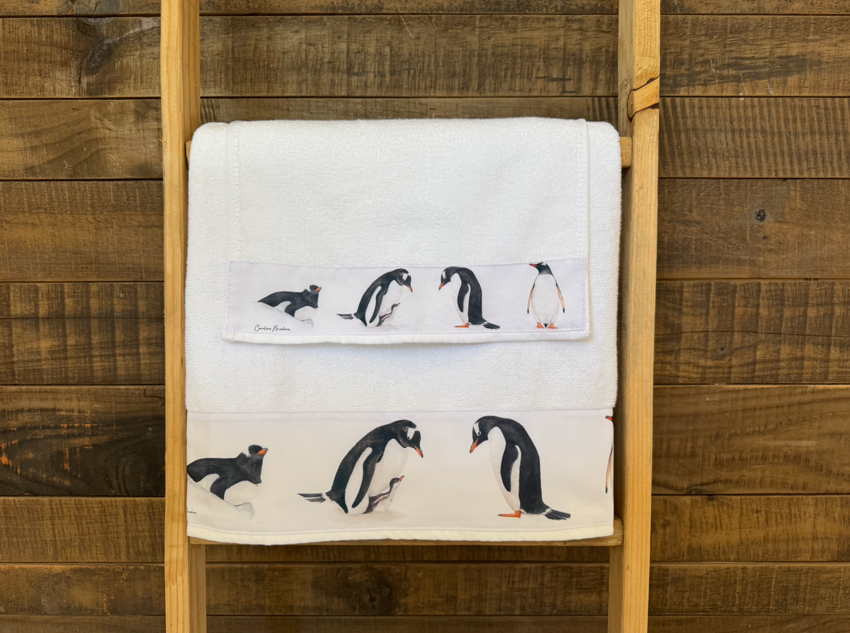 TOALLA MANO Y VISITA PINGÜINO